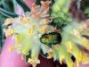 359243 – Photo : Armelle Bass – France (35)